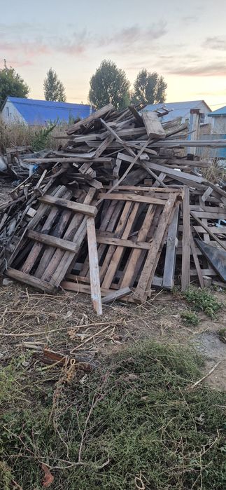 Даром дам бесплатно