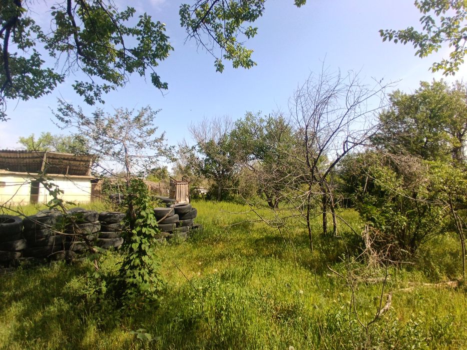 Дача 12 соток на чолдале