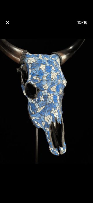 Vand craniu bivol sau vaca sculptate in Indonezia