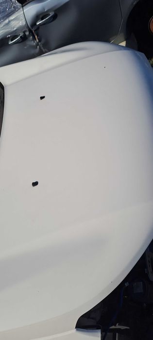 Калници и преден капак на двигател за FORD ECOSPORT 2016Г.