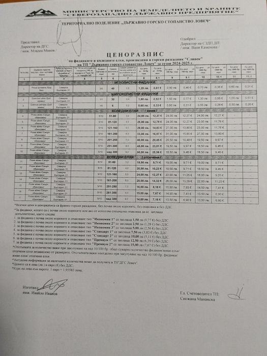 Елхи, обикновен смърч, живи и отсечени, цени по ценоразпис
