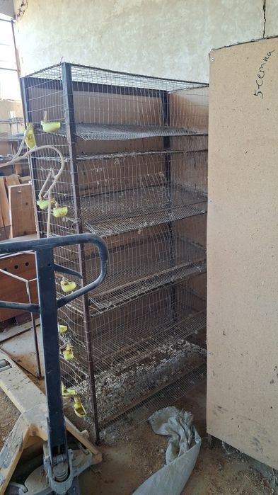 Бөдене клетка сетка