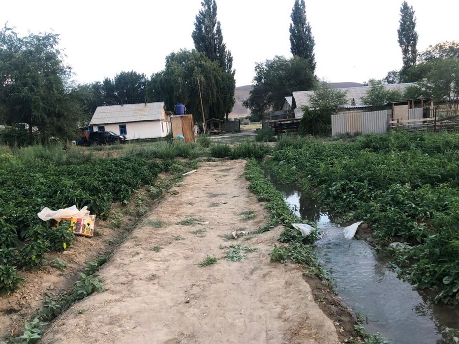 Продам Крестьянское хозяйство