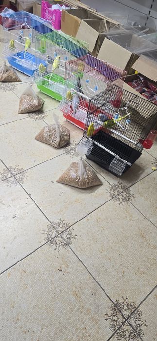 Попугай комбо комплект