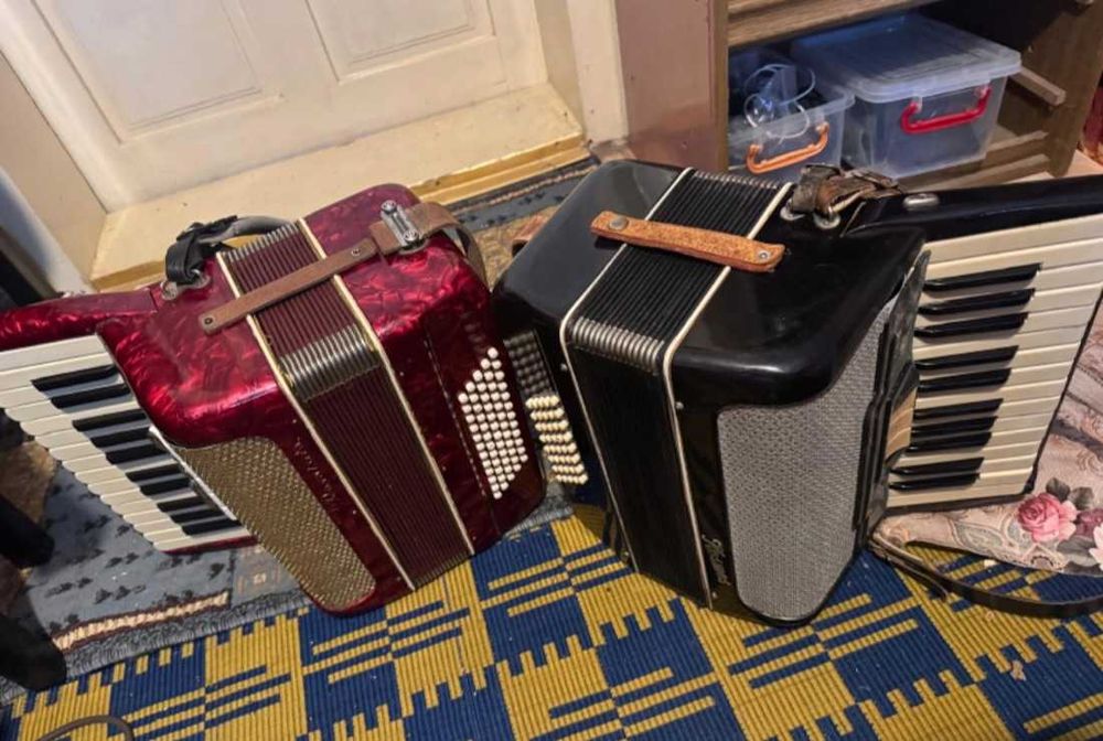 Acordeon 60 basi pentru copii