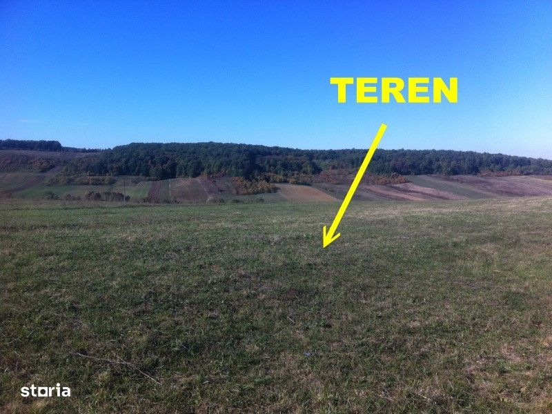 Teren Tasad 3 164 mp pt casa vacanta
