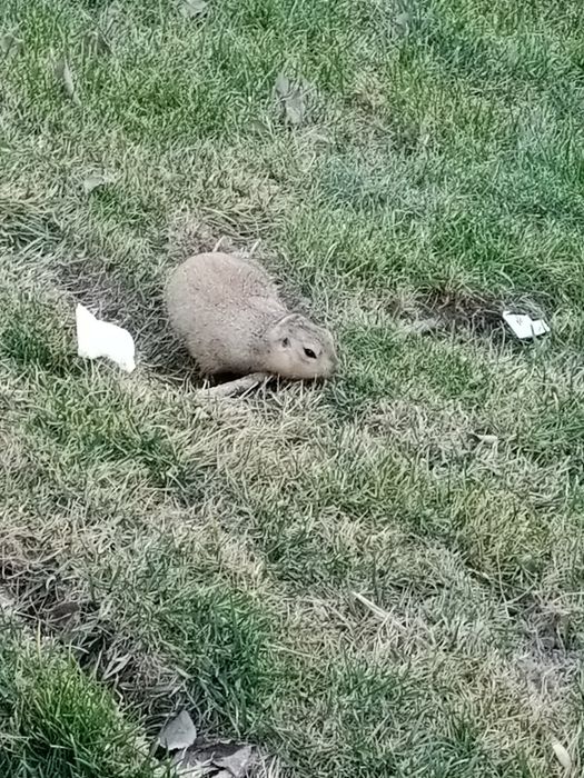 Загородная, горная экскурсия.