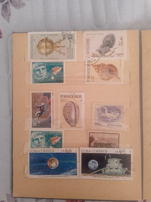 Konvert ustiga yopishtrladi ancha yilik aksuvarlar narhni kelishamiz