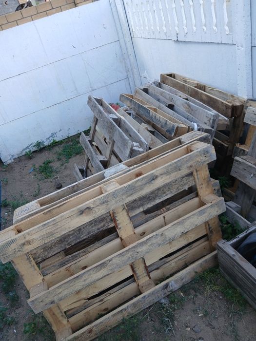 Продам поддоны 13 шт