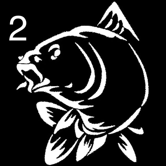 Рибарски СТИКЕРИ шаран