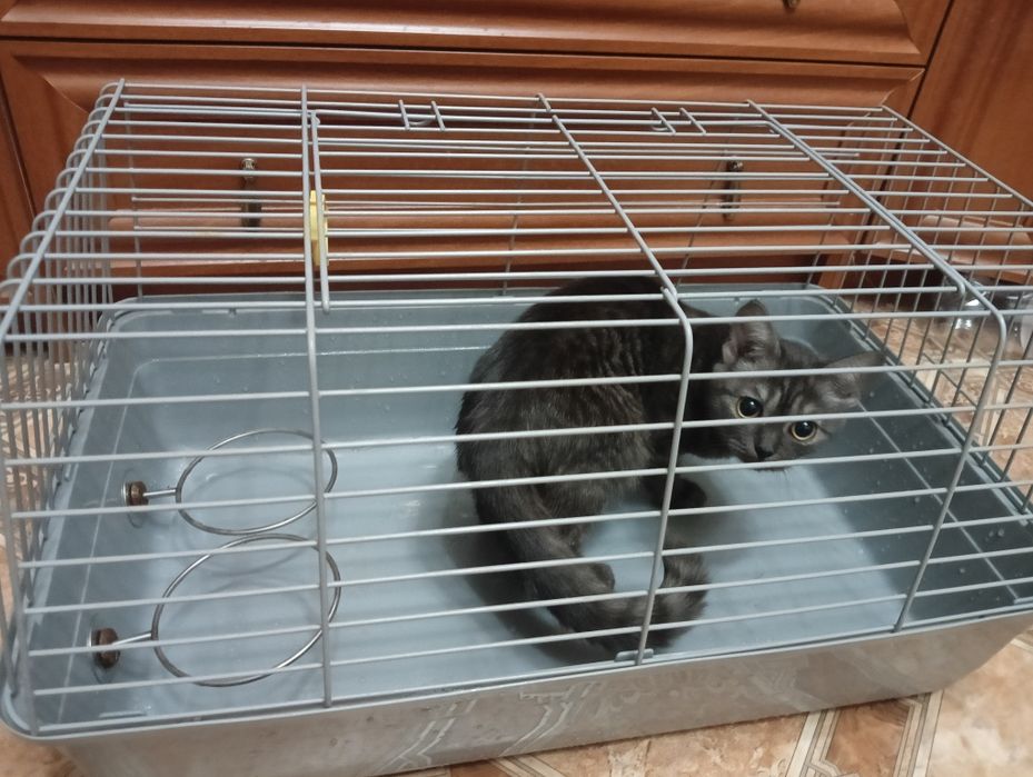 Клетка  с кормушками