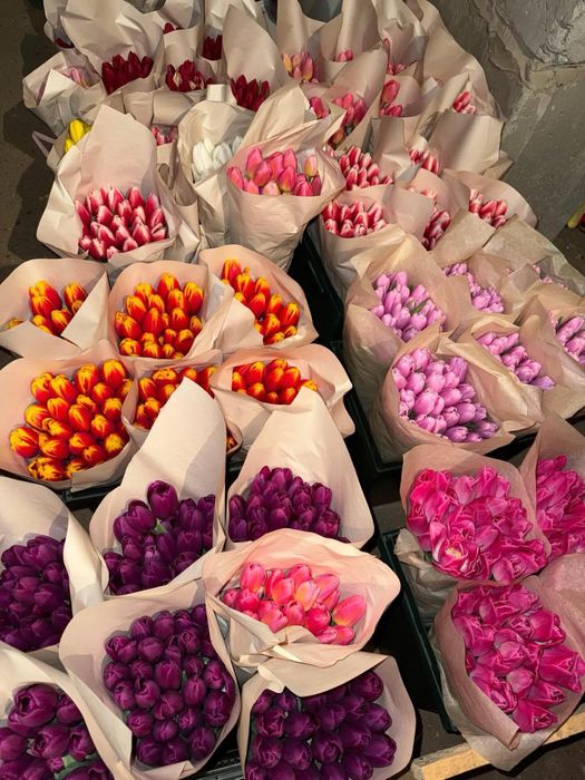 Тюльпандар 700тг