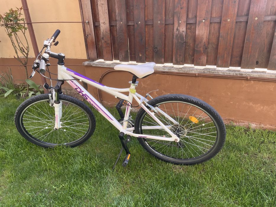 Vand bicicleta DHS NIOBE ‘26