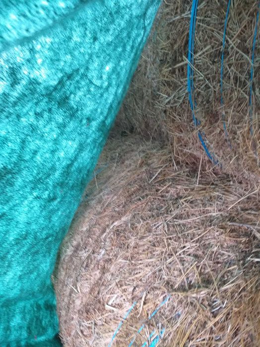 Vind Fin Lucerna si Paie asigur transport cu Tir