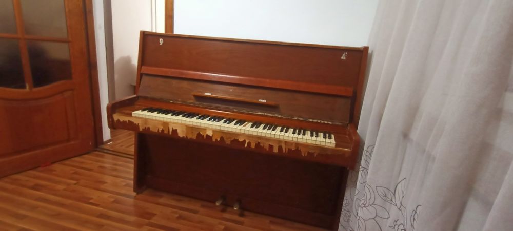 Пионина срочно 1953