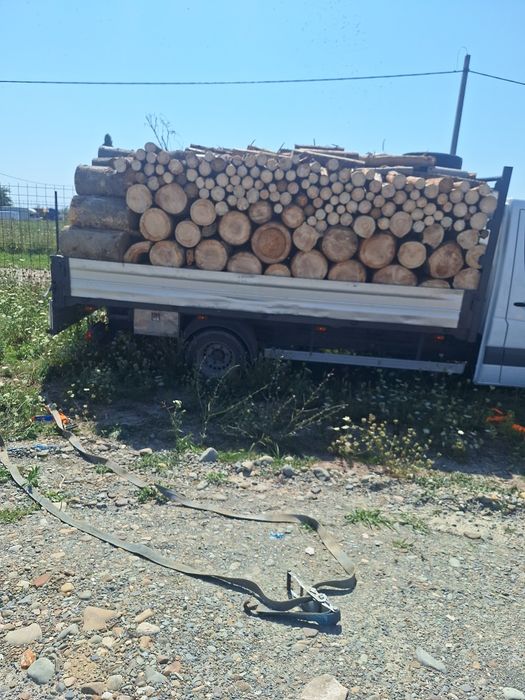 Vand lemne de foc din rasinoase