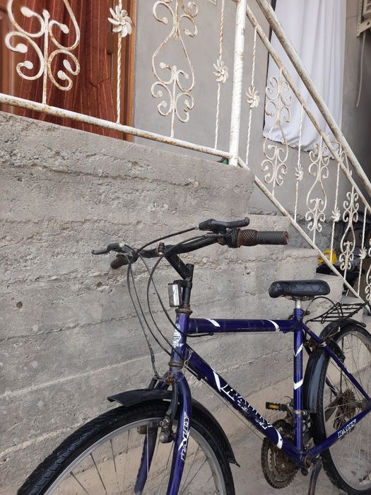 Velosiped germaniskiy