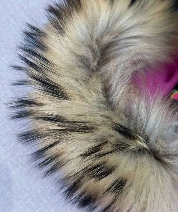 Комбинезон зима Tomas оригинал