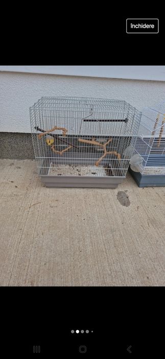 Colivie cu accesorii