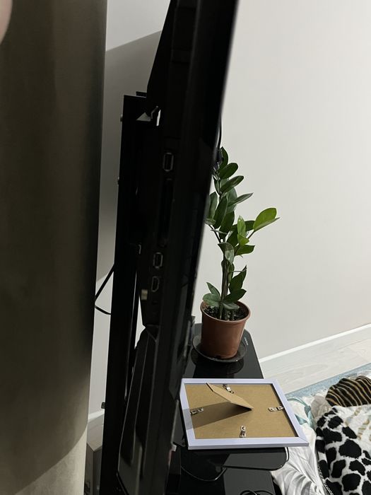 Телевизор LG не смарт !