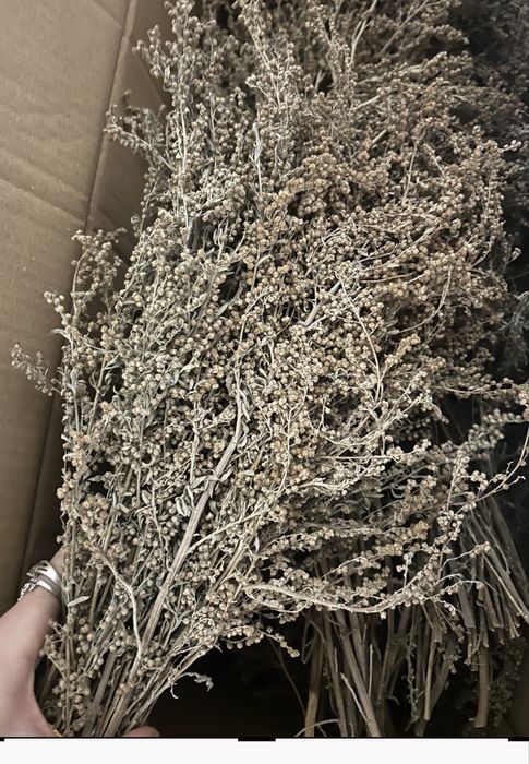 Pelin amar uscat , artemisia absintium pelin uscat