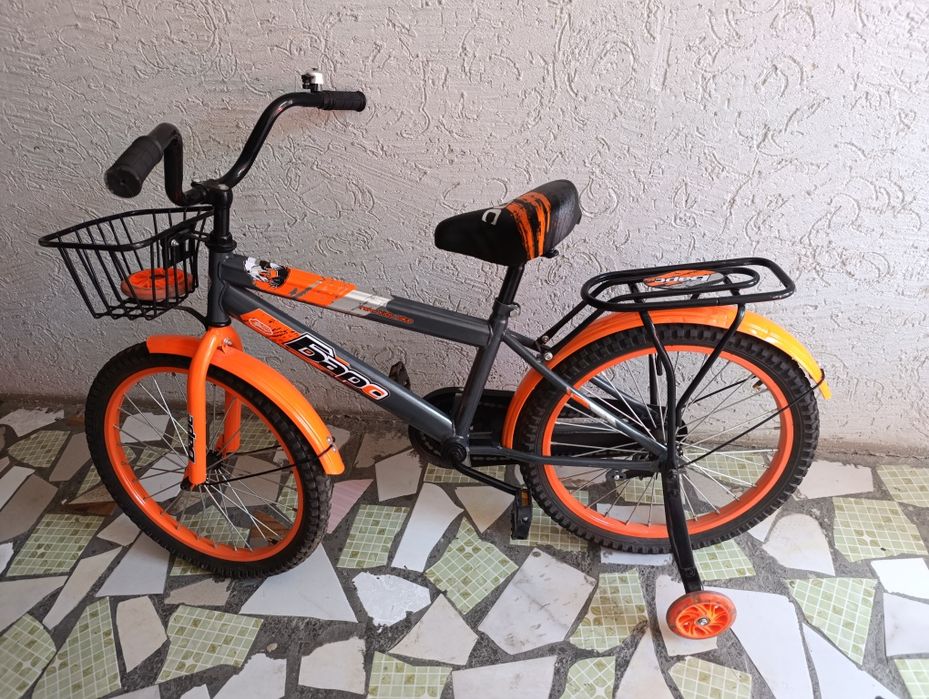 Барыс и Анна Элза