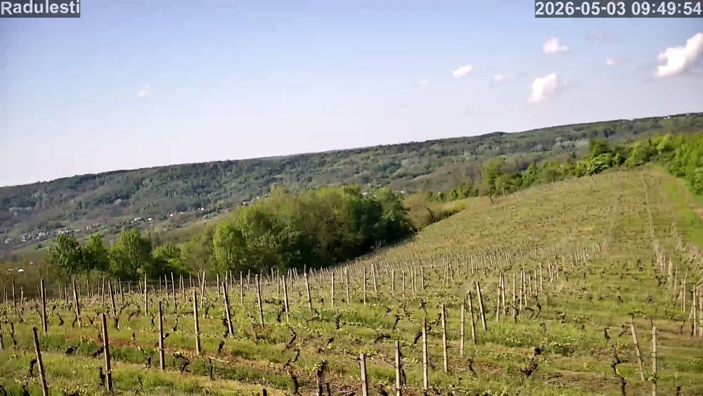 Vând domeniu Viticol si Crama in podgoria Dragasani