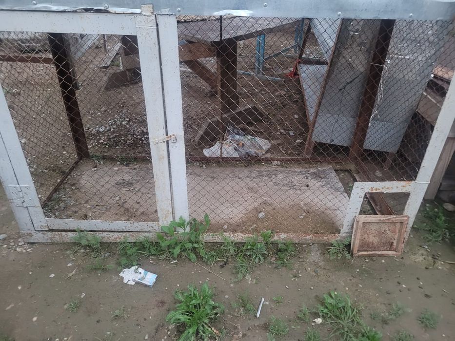 Сетка для всего)