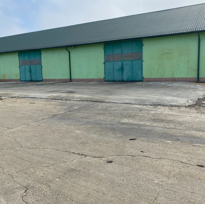 Inchiriere spatiu industrial langa autostrada A1 Nadlac-Arad