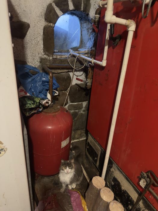 Vand centrala Radijator Tkan 1 35kW peleti + lemn