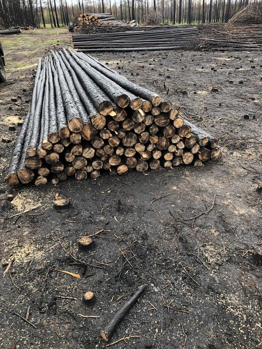 Продам лес от 2 до 6 метров ,подтоварник.,