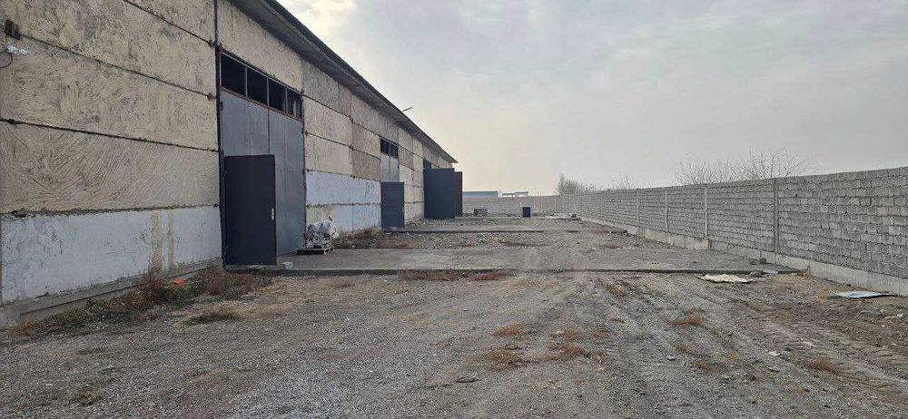 Куйчирчикский район, база, 59соток, Уччинор, Аккурган