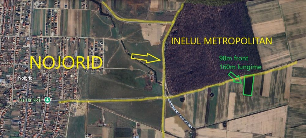 Vand 15300mp cu front de 98m la padurea Nojoridului