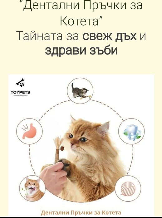 Аксесоари за вашето коте