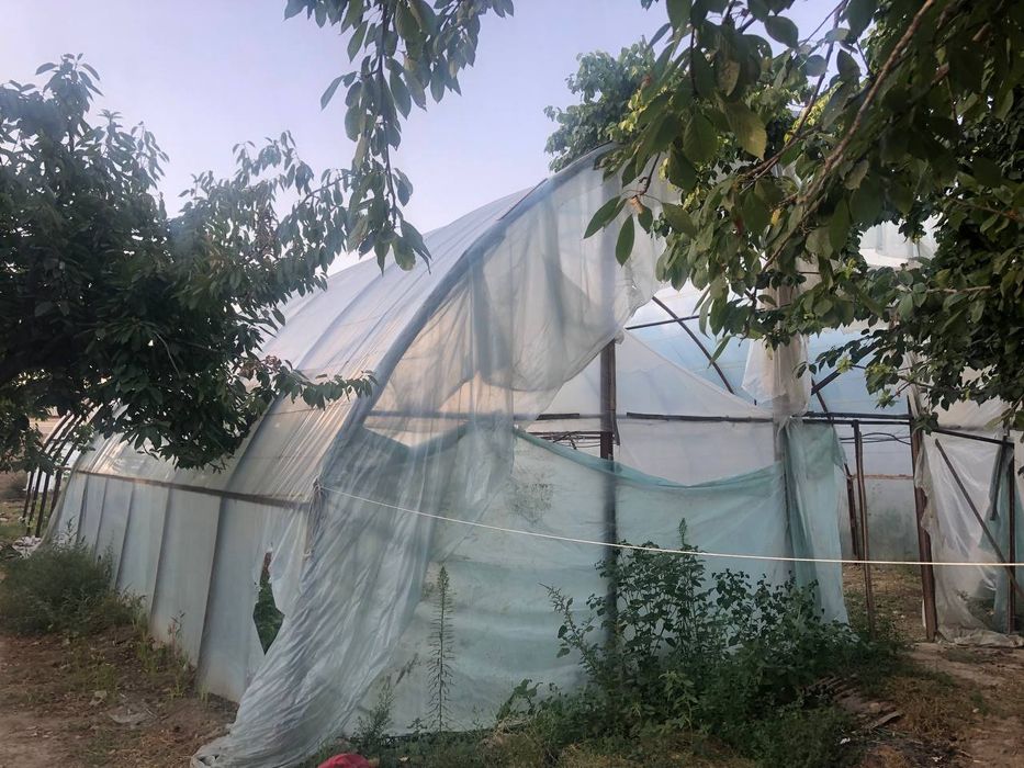 Issiq xona Biznesingiz uchun