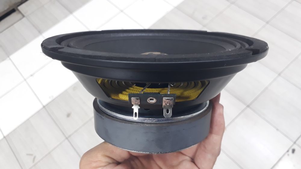 arzonchi ESTRADNOY estradni 250w kalonka bor 16 sm lasetti kobilt