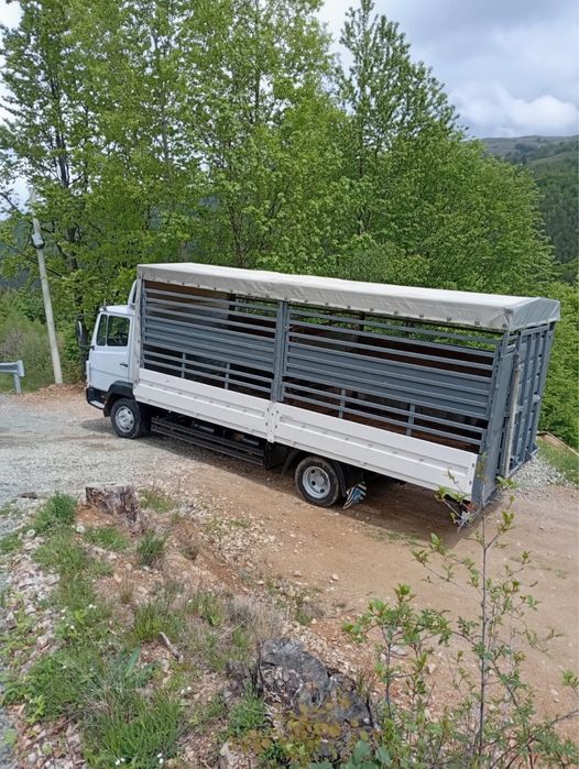 Camion animale  si in acte