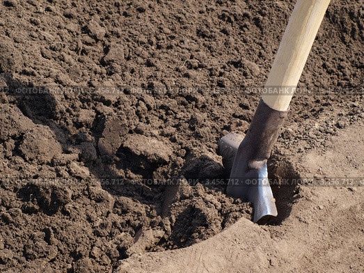 Вспашка огорода лопатой