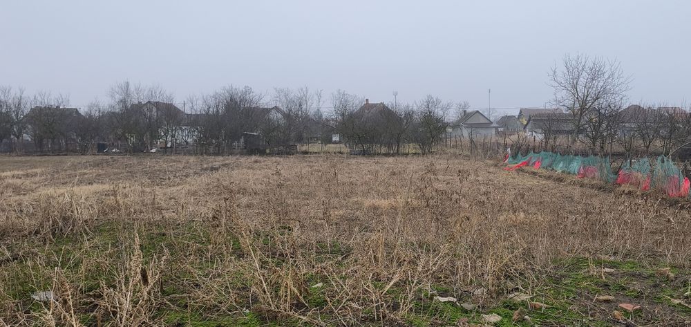 Vând casă cu gradina în centrul Com. Șimand, Jud. Arad