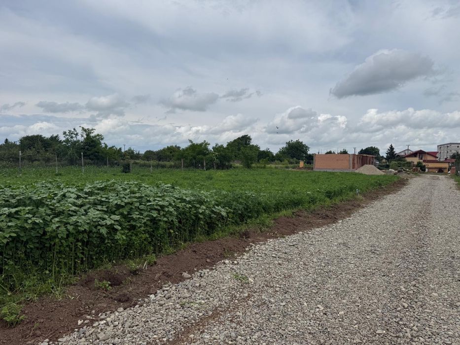 Teren pentru casa