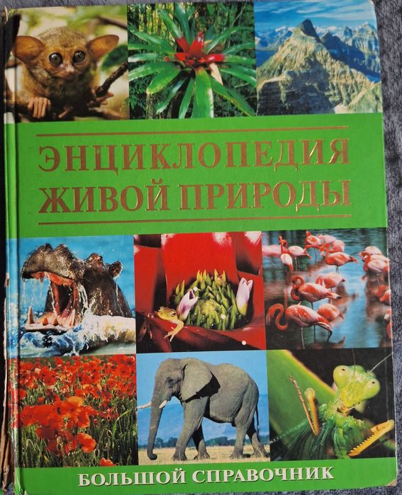 Детская энциклопедия