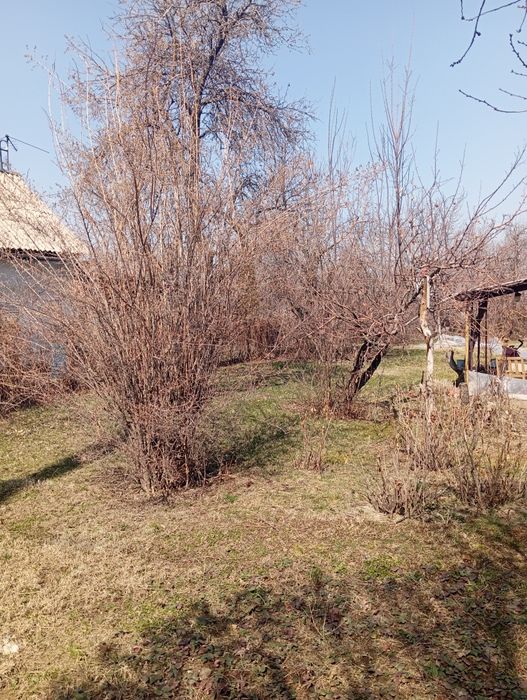 Продам  Дачу в Талгарских дачах