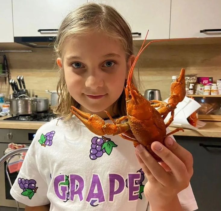 Раки живые раки раки речные