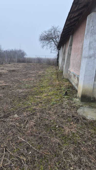 Vand casa si teren in sat Darvari jud Prahova strada principala