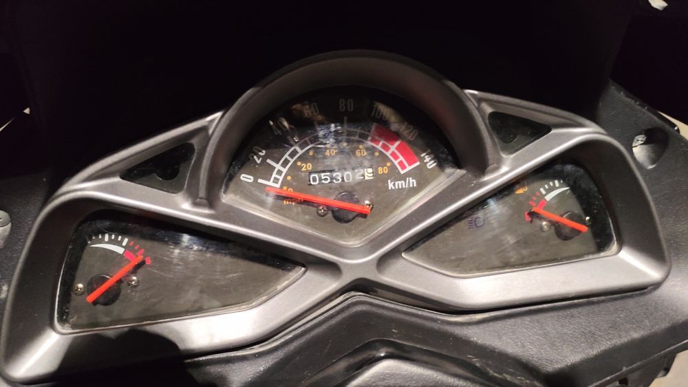 Tiger skuter sotiladi