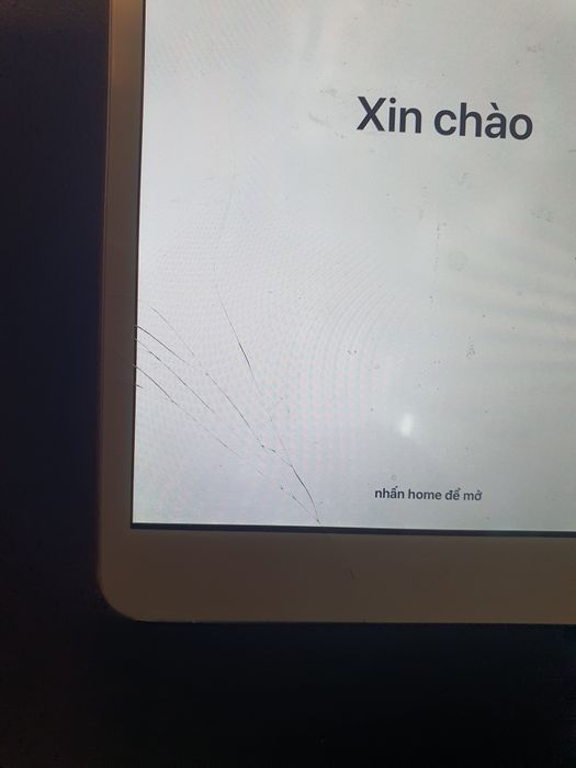 ipad  mini2 A1490