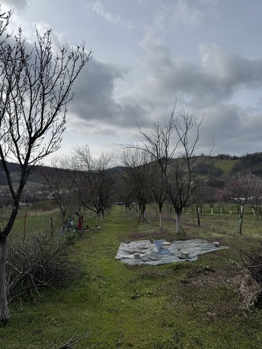 Teren Intravilan Orsova 1760m