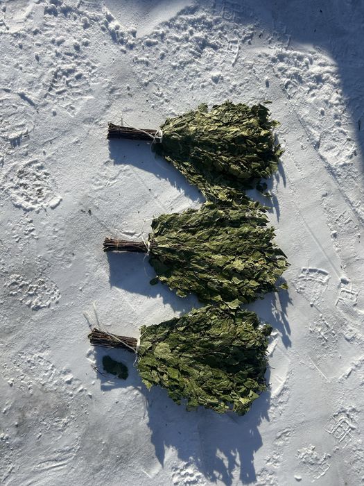 Банные березовые веники