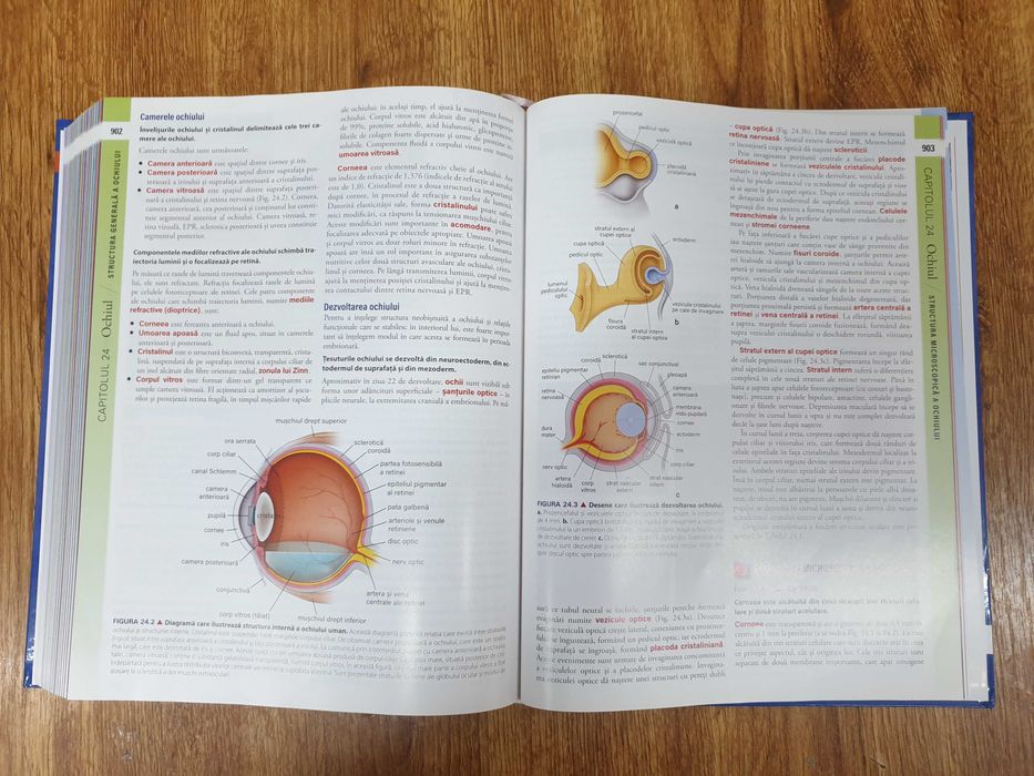 Ross Histologie: Tratat și Atlas, Wojciech Pawlina