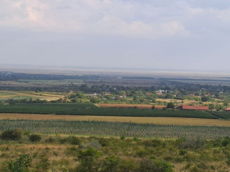 Vand teren aflat in Pietroasele